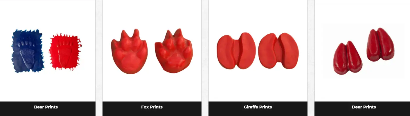 Animal track stamped concrete patterns animal track stamp patterns