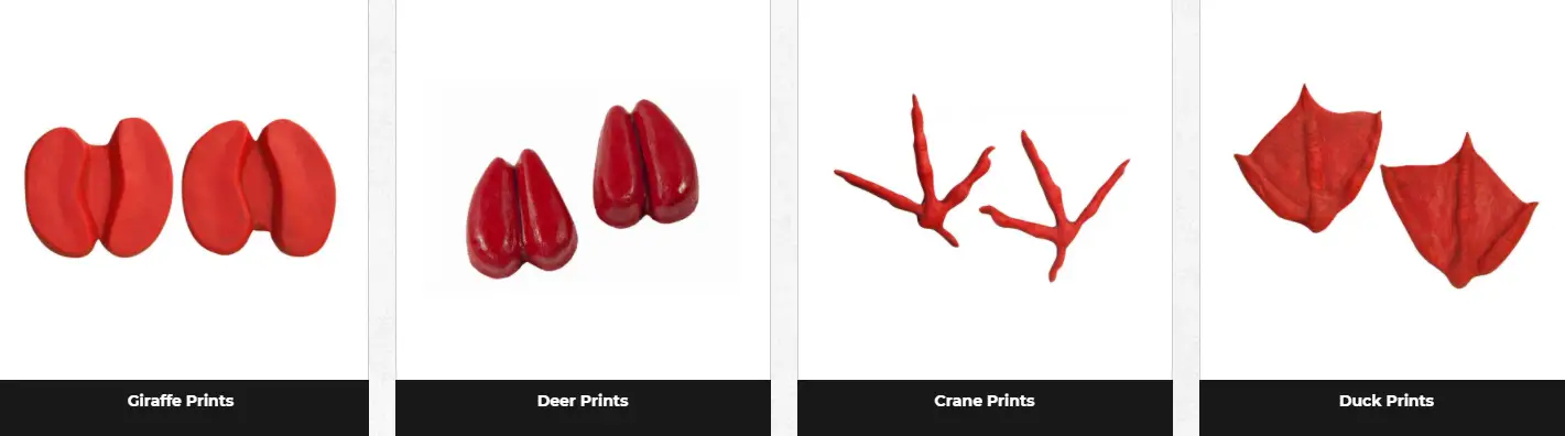 animal track stamped concrete patterns animal track stamp patterns