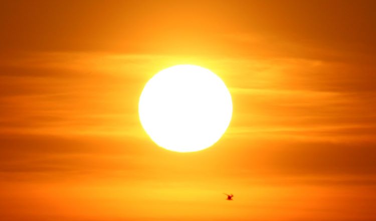 Does concrete get hot in the sun? concrete absorb heat from the sun