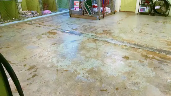before pic of polyaspartic 1 day floor before pic of polyaspartic 1 day floor