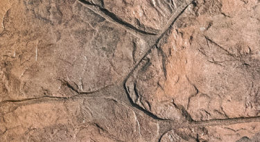 What does stamped concrete cost