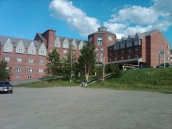 decorative concrete overlays