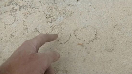 How to repair salt damaged concrete