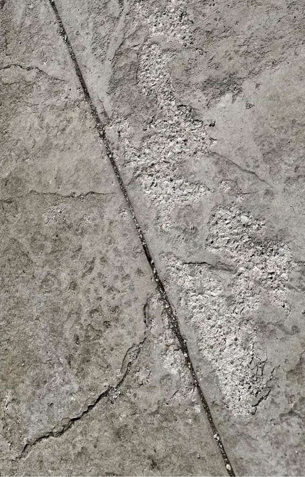 concrete surface scaling issues type 1l cement